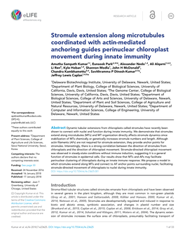 Stromule Extension Along Microtubules Coordinated with Actin