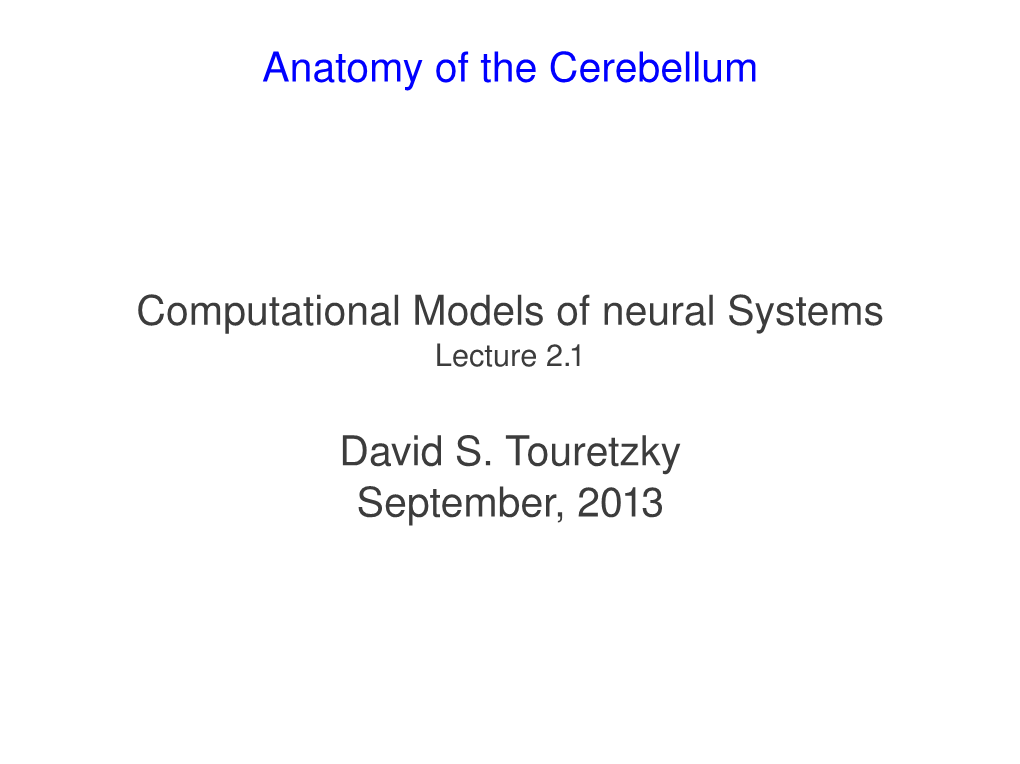 Anatomy of the Cerebellum Computational Models of Neural