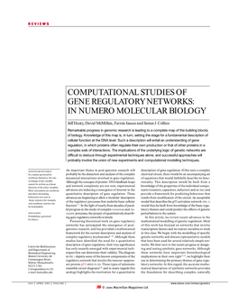 Computational Studies of Gene Regulatory Networks: in Numero Molecular Biology