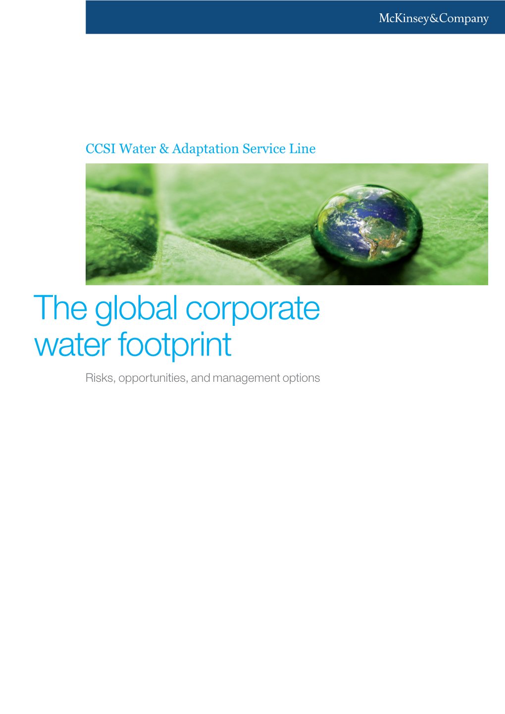 The Global Corporate Water Footprint Risks, Opportunities, and Management Options