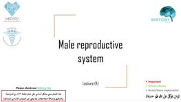 4- Male Reproductive System Final Editing.Pdf