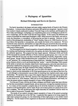 A Phylogeny of Iguanidae Richard Etheridge and Kevin De Queiroz