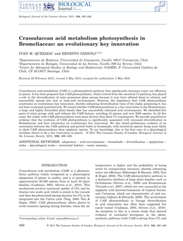 Crassulacean Acid Metabolism Photosynthesis in Bromeliaceae: an Evolutionary Key Innovation