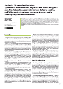 Studies in Trichaleurina (Pezizales). Type Studies of Trichaleurina Polytricha and Urnula Philippina- Rum