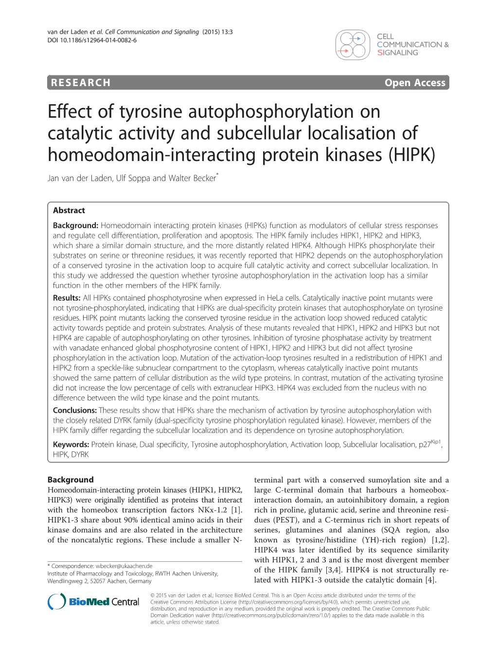 Effect of Tyrosine Autophosphorylation on Catalytic Activity and Subcellular