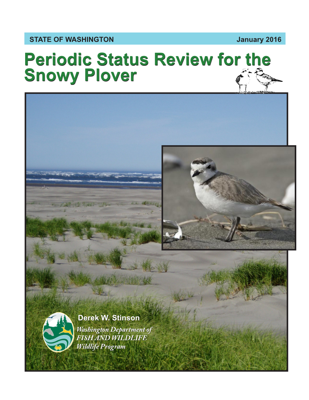 Periodic Status Review for the Snowy Plover