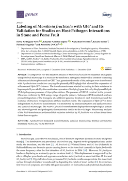 Labeling of Monilinia Fructicola with GFP and Its Validation for Studies on Host-Pathogen Interactions in Stone and Pome Fruit