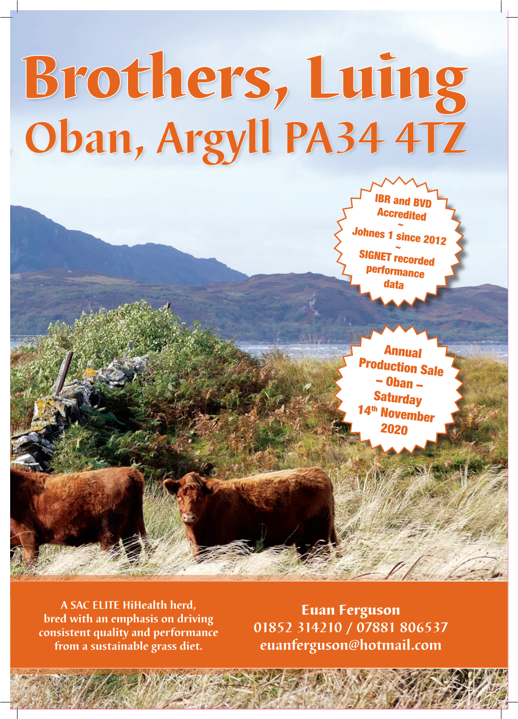 Le of Luing, Oban, Argyll PA34 4TZ