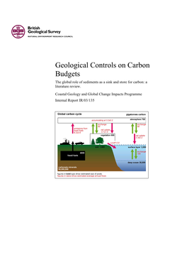 Geological Controls on Carbon Budgets the Global Role of Sediments As a Sink and Store for Carbon: a Literature Review