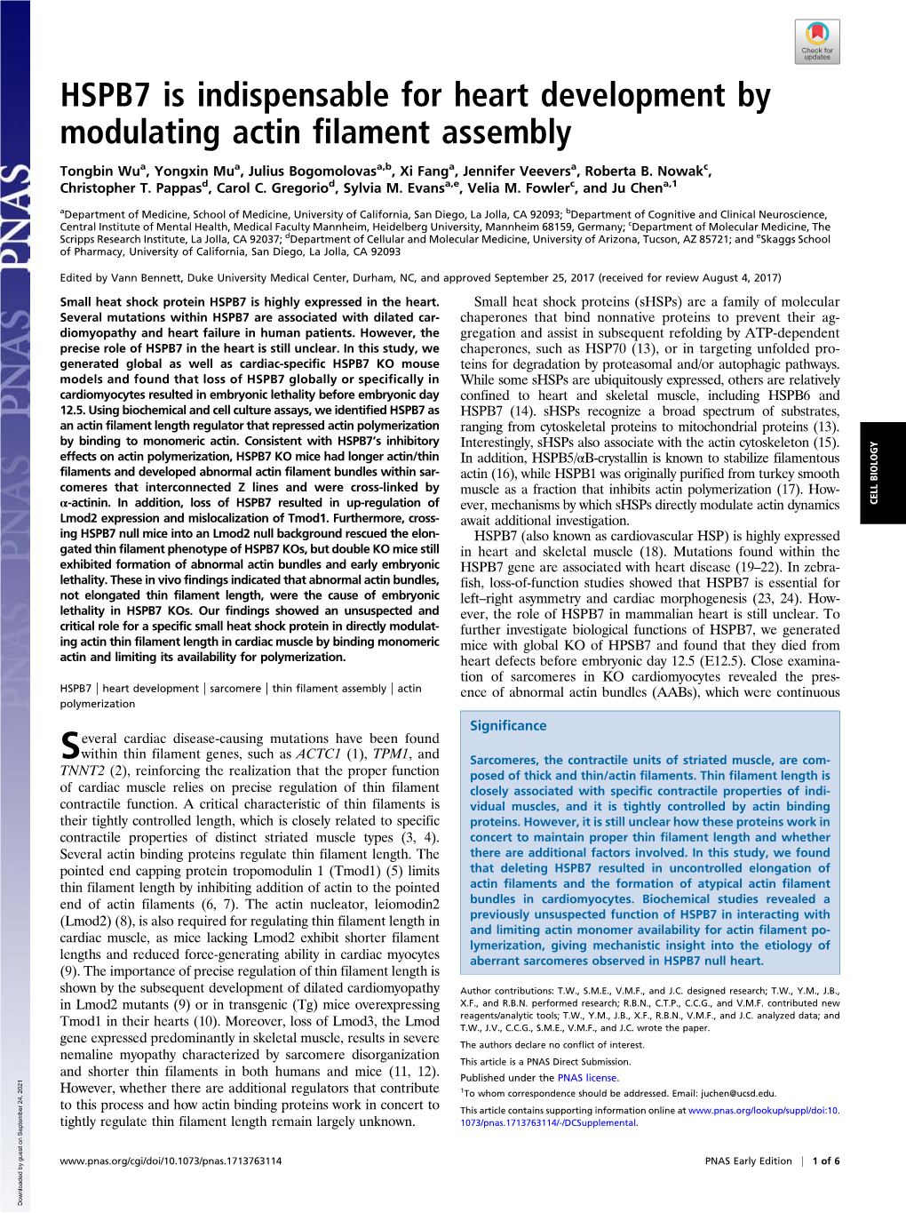 HSPB7 Is Indispensable for Heart Development by Modulating Actin Filament Assembly