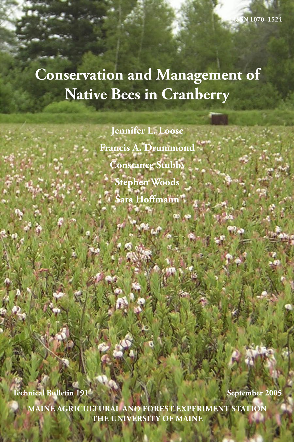 Conservation and Management of Native Bees in Cranberry