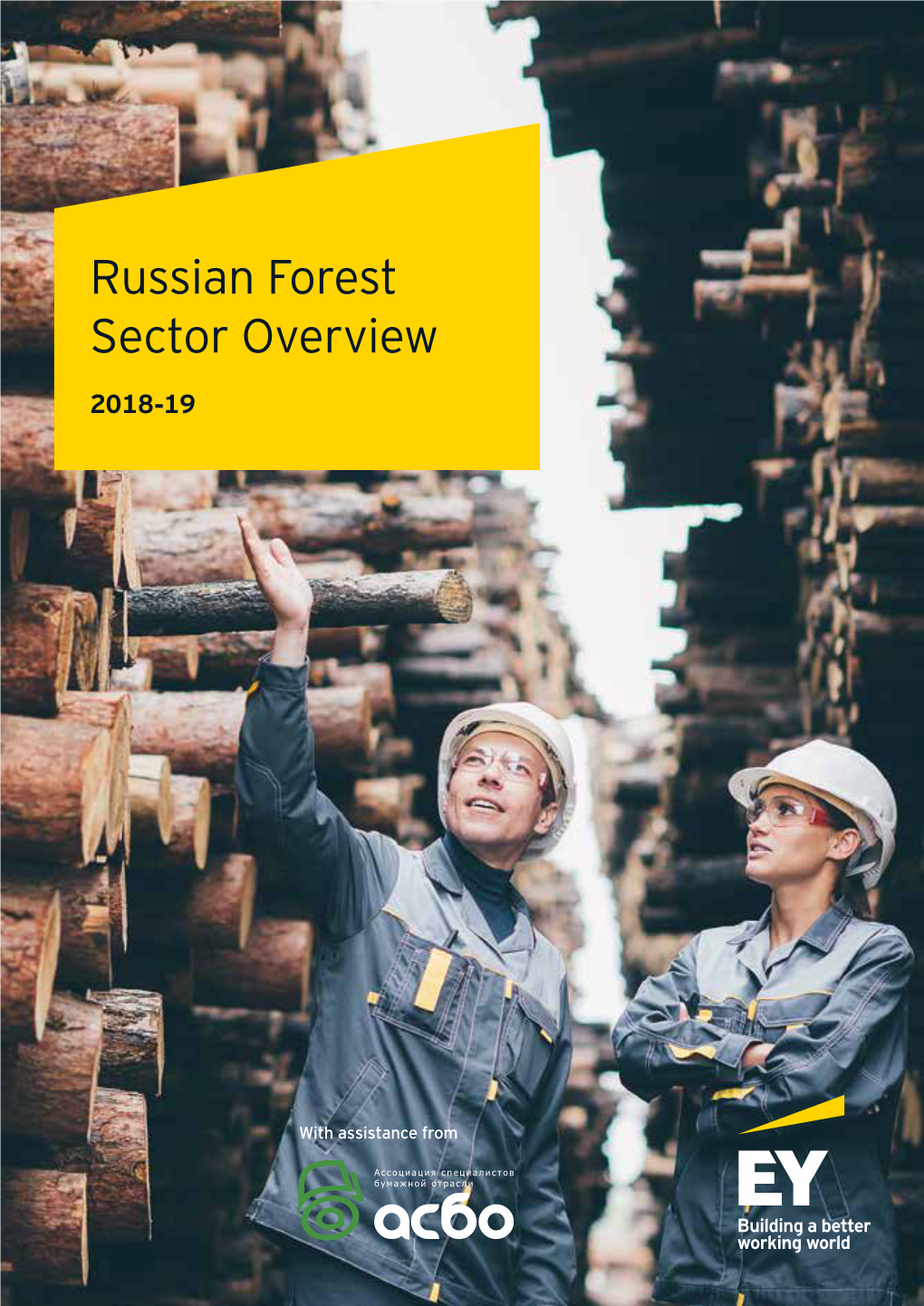 Russian Forest Sector Overview