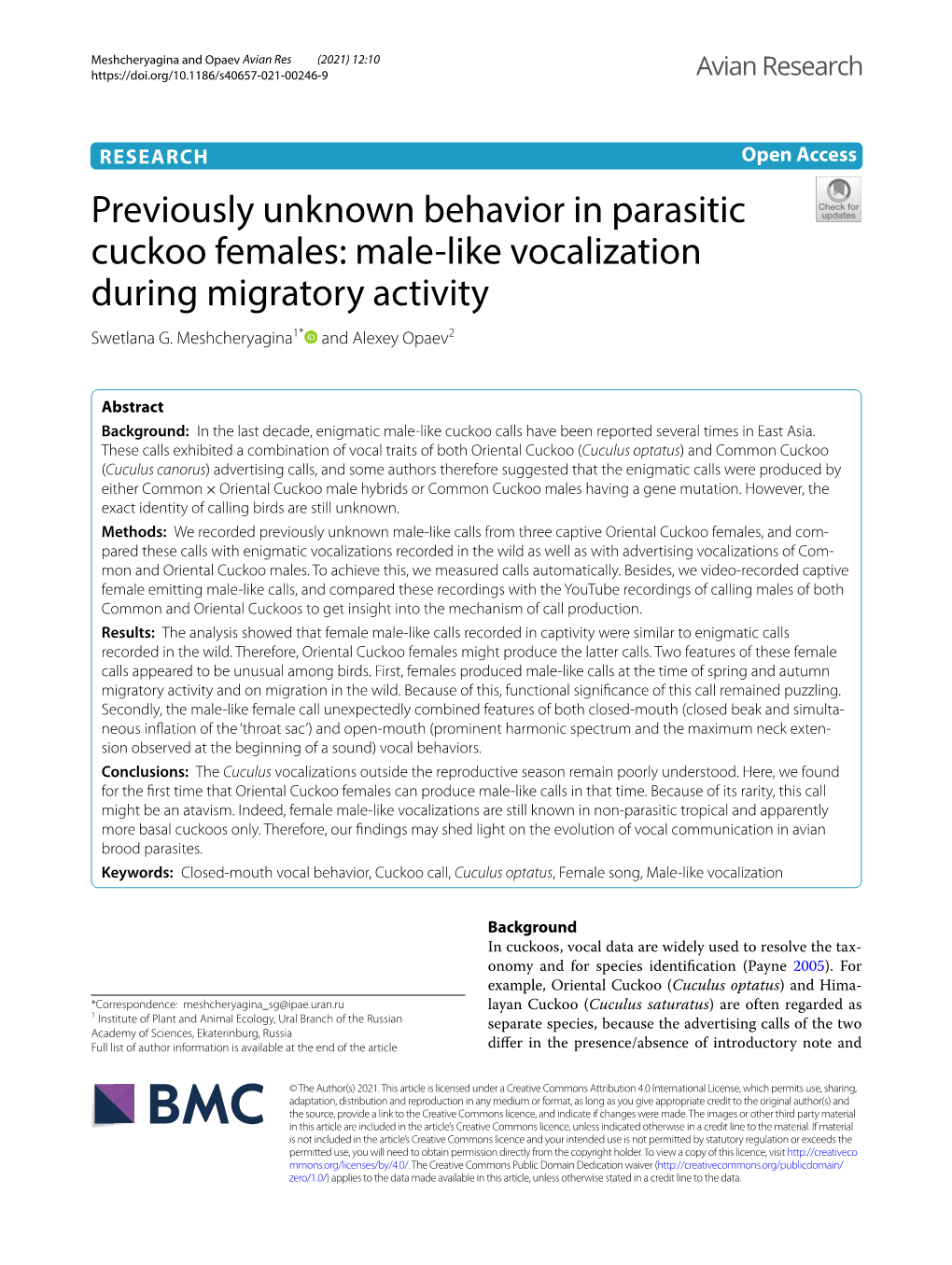 Previously Unknown Behavior in Parasitic Cuckoo Females: Male-Like