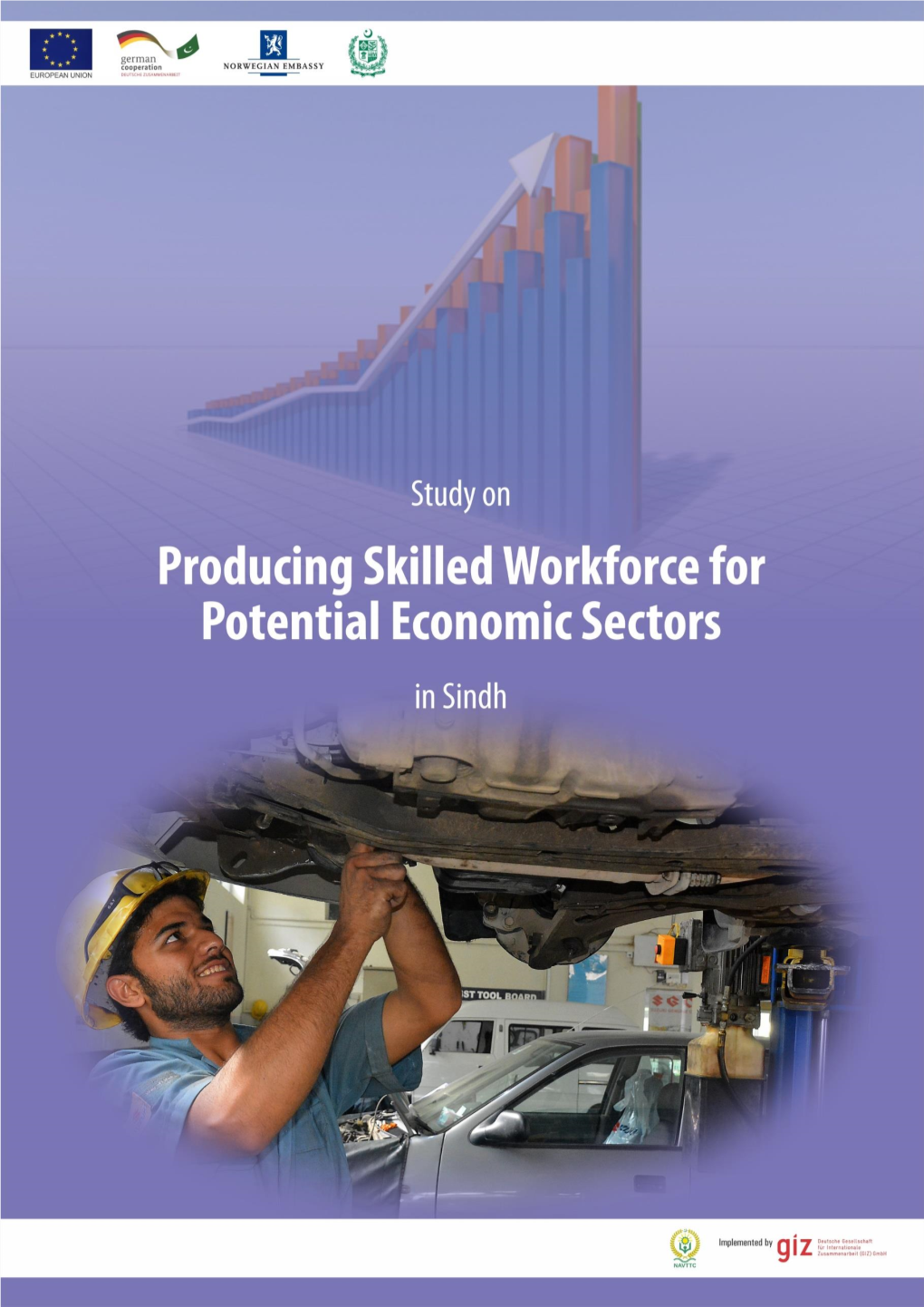 Study of Potential Economic Sectors-Sindh