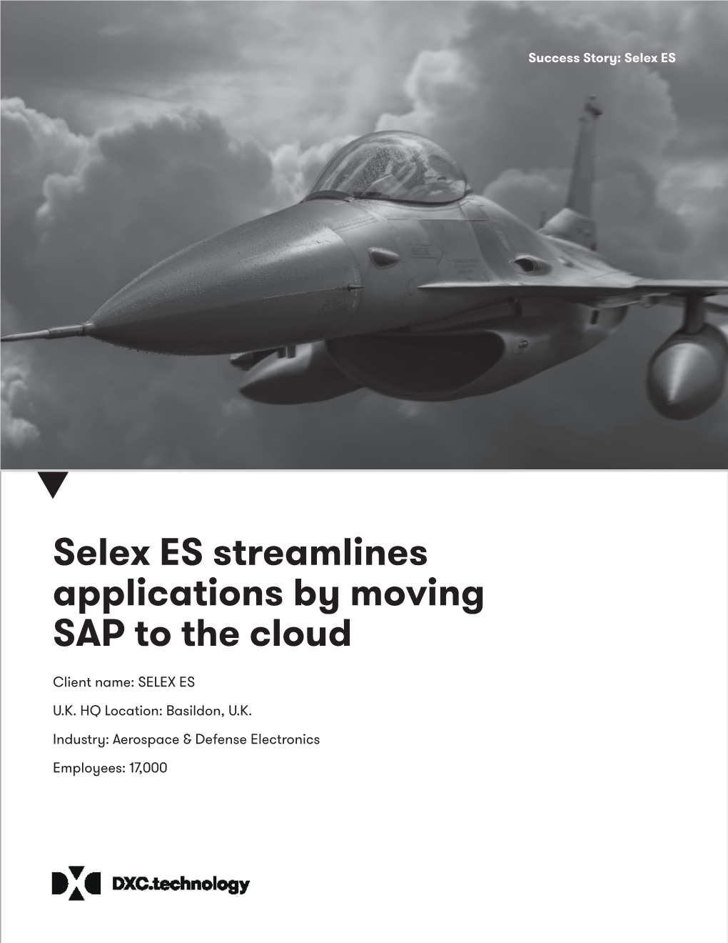 Selex ES Streamlines Applications by Moving SAP to the Cloud