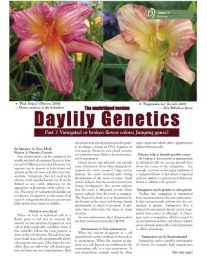 Daylily Genetics Part 3 Variegated Or Broken Flower Colors: Jumping Genes?