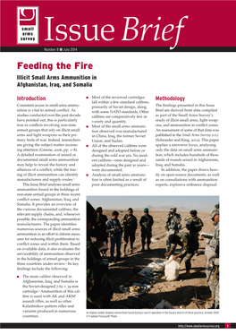 Feeding the Fire: Illicit Small Arms Ammunition in Afghanistan, Iraq, and Somalia