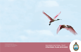 STRATEGIC PLAN 2018-2022 Foreword