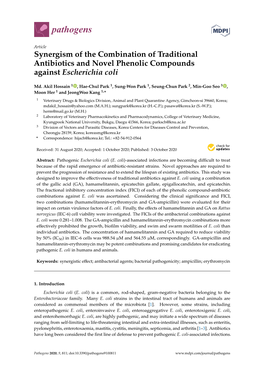 Synergism of the Combination of Traditional Antibiotics and Novel Phenolic Compounds Against Escherichia Coli