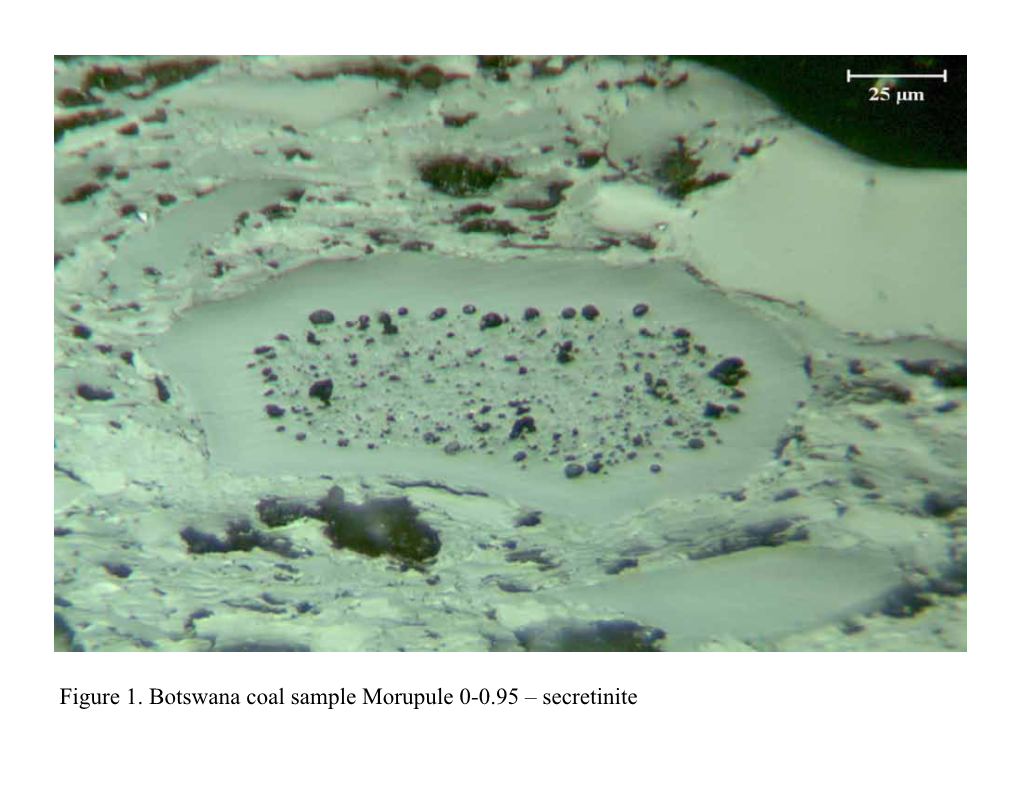 Figure 1. Botswana Coal Sample Morupule 0-0.95 – Secretinite Figure 2