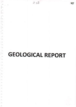 GEOLOGICAL REPORT 2Tq 7Tt