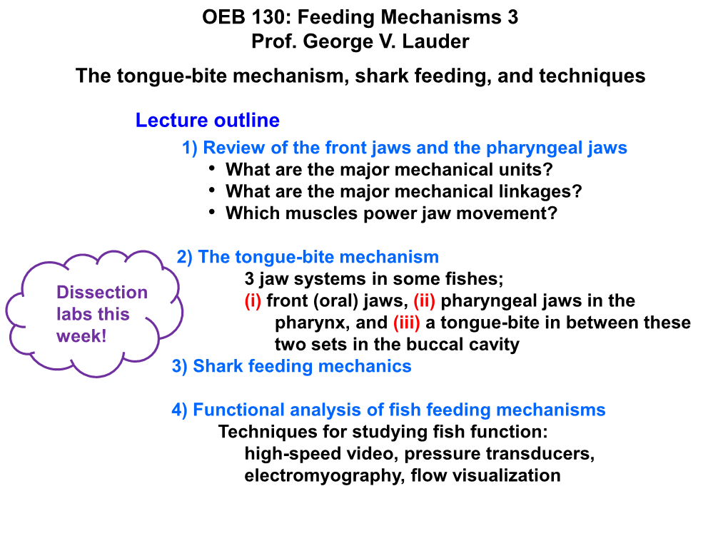 Feeding Mechanisms 3 Prof. George V. Lauder the Tongue-Bite Mechanism, Shark Feeding, and Techniques