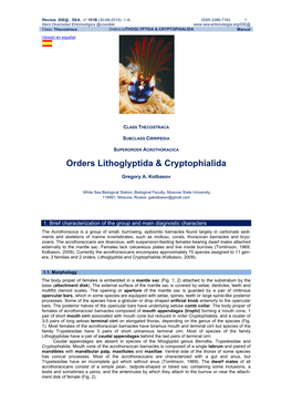 Orders Lithoglyptida & Cryptophialida