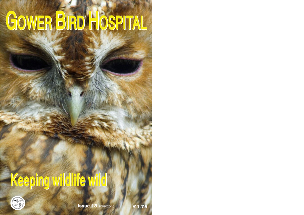 Gower Bird Hospital News 2009