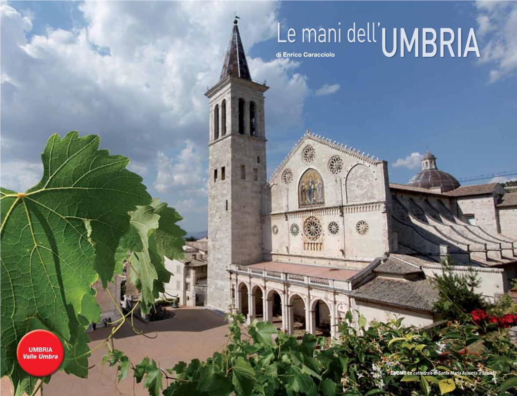 Le Mani Dell'umbria