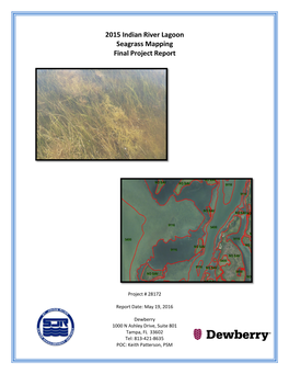 2015 Indian River Lagoon Seagrass Mapping Final Project Report