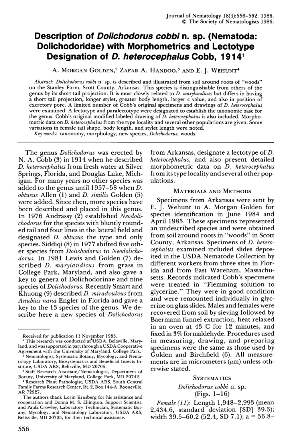 Description of Dolichodorus Cobbi N. Sp. (Nematoda: Dolichodoridae) with Morphometrics and Lectotype Designation of D