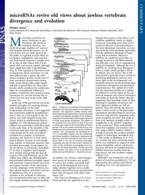 Micrornas Revive Old Views About Jawless Vertebrate Divergence and Evolution
