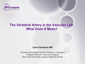 The Vertebral Artery in the Vascular Lab: What Does It Mean?