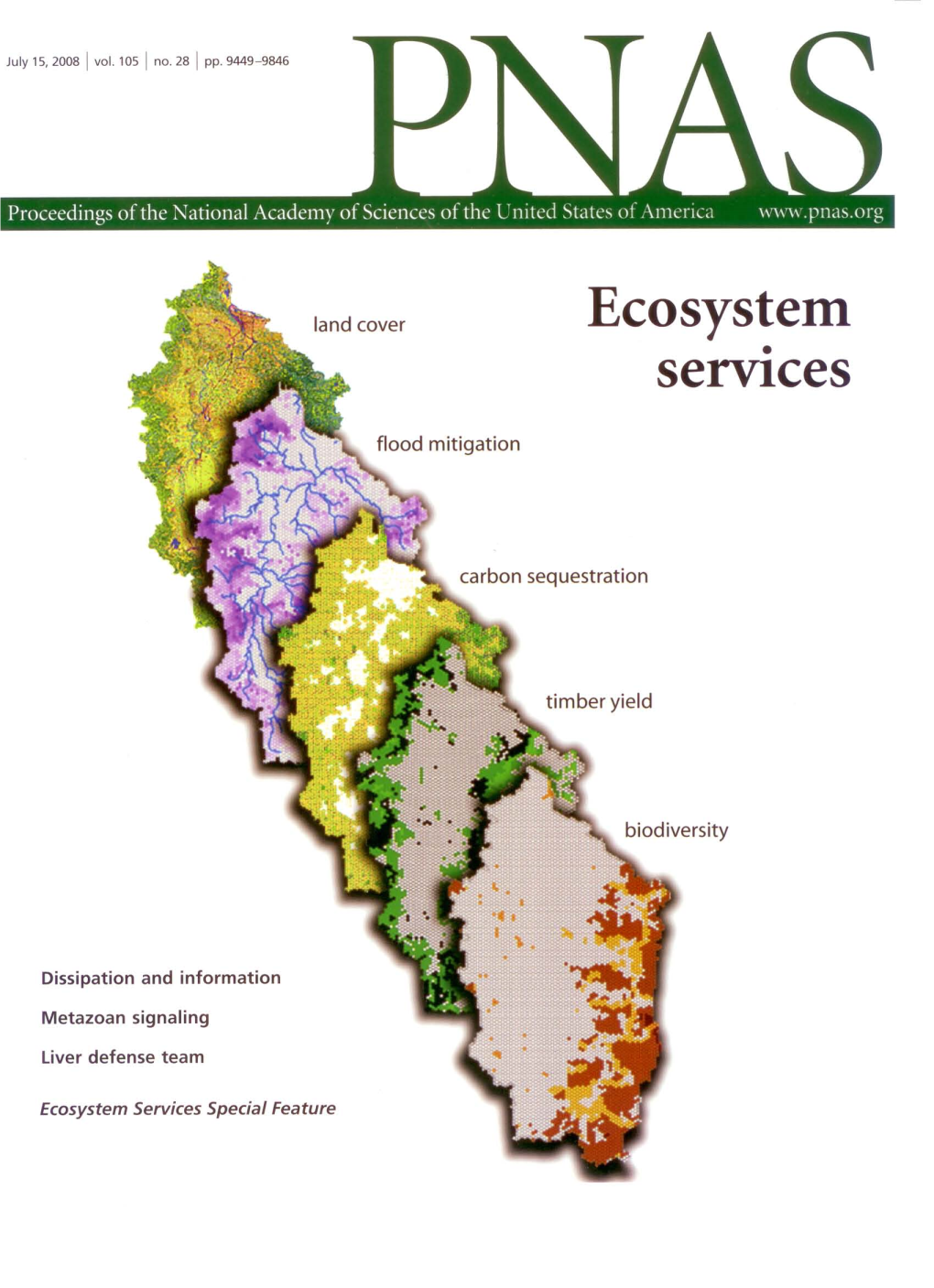 Efficiency of Incentives to Jointly Increase Carbon Sequestration And