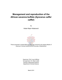 Management and Reproduction of the African Savanna Buffalo (Syncerus Caffer Caffer)