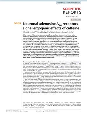 Neuronal Adenosine A2A Receptors Signal Ergogenic Effects of Caffeine