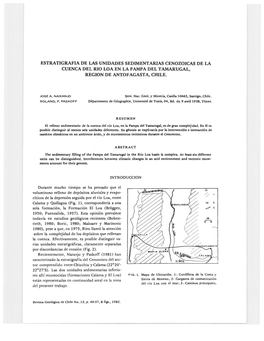 Unidades Sedimentarias Cenozoicas De La Cuenca Del Rio Loa En La Pampa Del Tamarugal, Region De Antofagasta, Chile