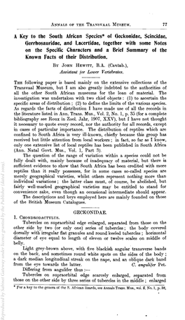 A Key to the South African Species* of Oeckonidae, Scincidae