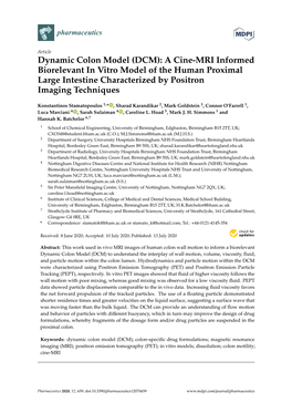 Dynamic Colon Model (DCM): a Cine-MRI Informed Biorelevant in Vitro Model of the Human Proximal Large Intestine Characterized by Positron Imaging Techniques