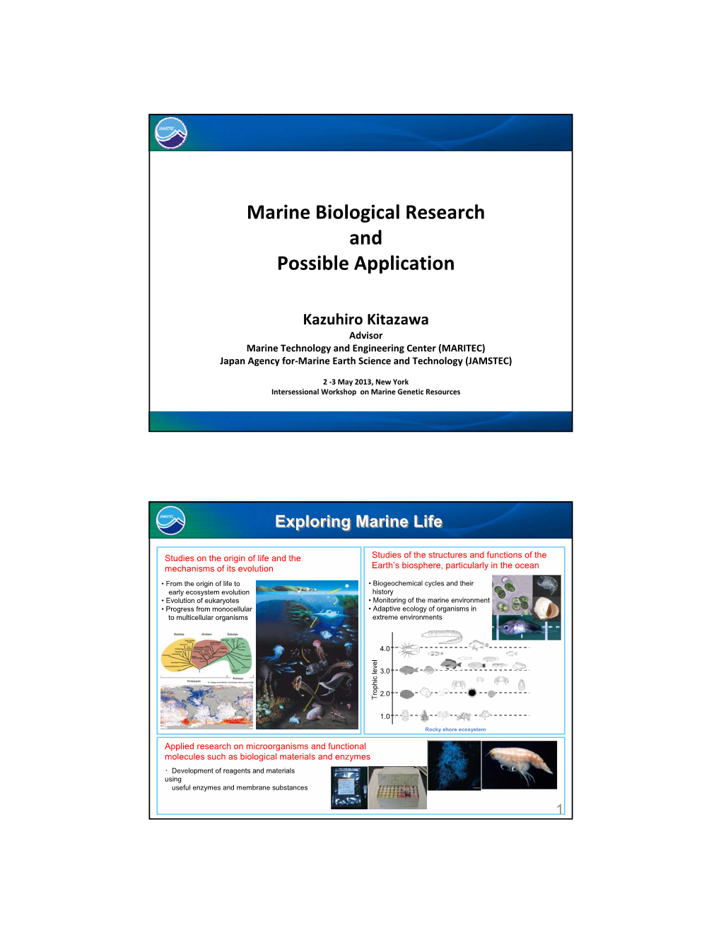 Marine Biological Research and Possible Application