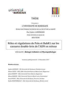 Rôles Et Régulations De Polo Et Bubr1 Sur Les Cassures Double-Brin De L'adn En Mitose