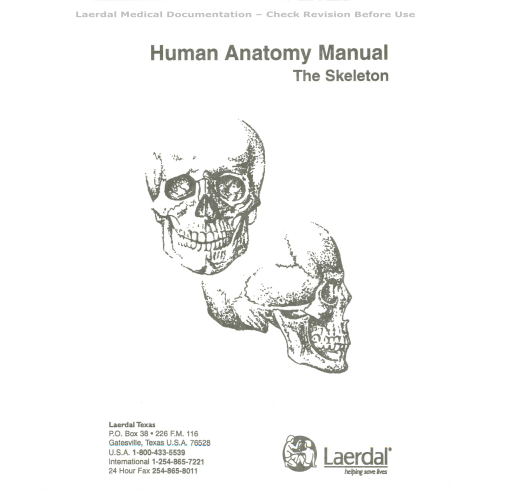 Human Anatomy Manual the Skeleton