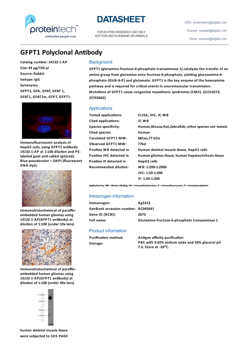 DATASHEET USA: Proteintech@Ptglab.Com