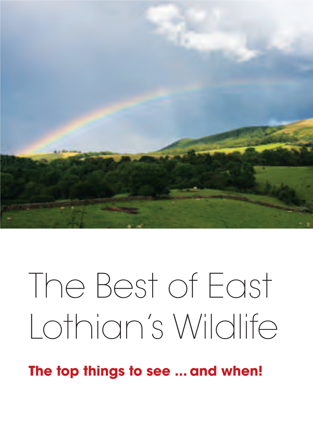 The Best of East Lothian's Wildlife