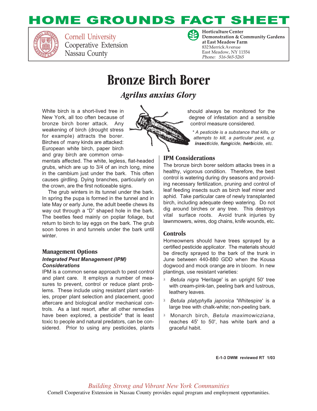 E-1-3 Bronze Birch Borer.Pmd