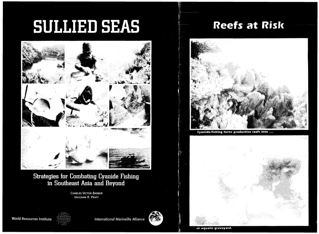 SULLIED SEAS Reefsatrisk