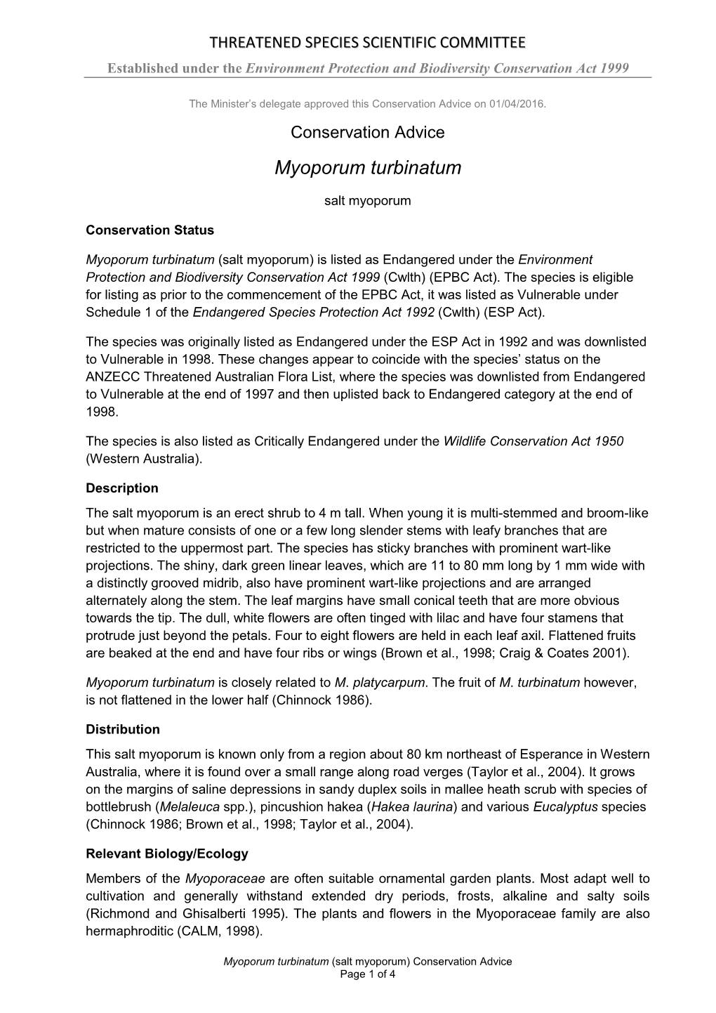 Conservation Advice Myoporum Turbinatum Salt Myoporum