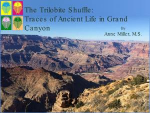 The Trilobite Shuffle with Anne Miller