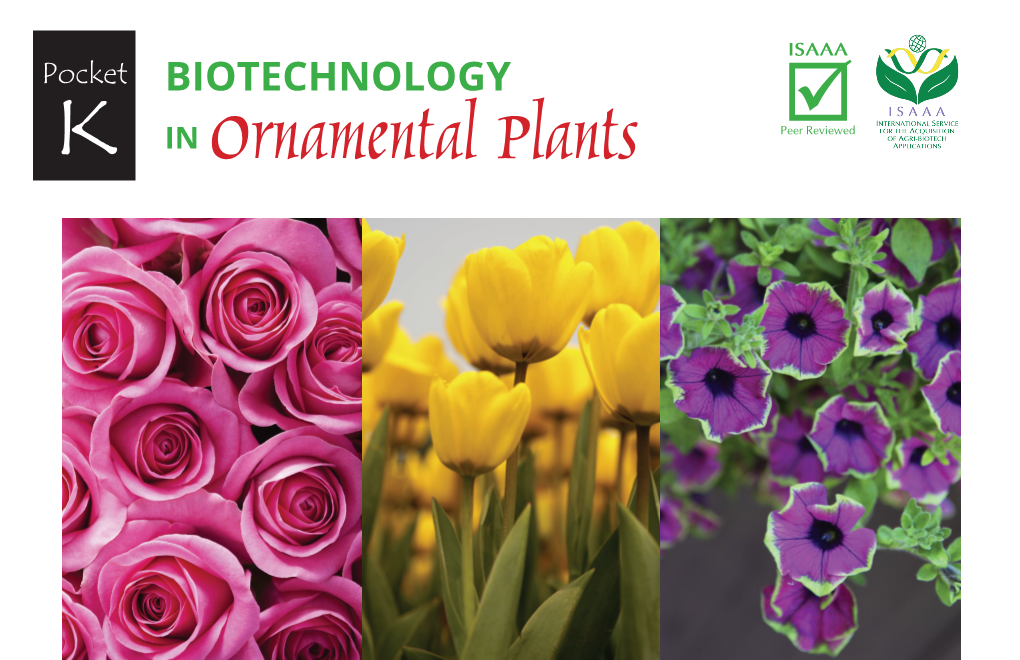 Ornamental Plants Ornamental Plants Are Grown for Decoration, Rather Than Food Or Raw Materials