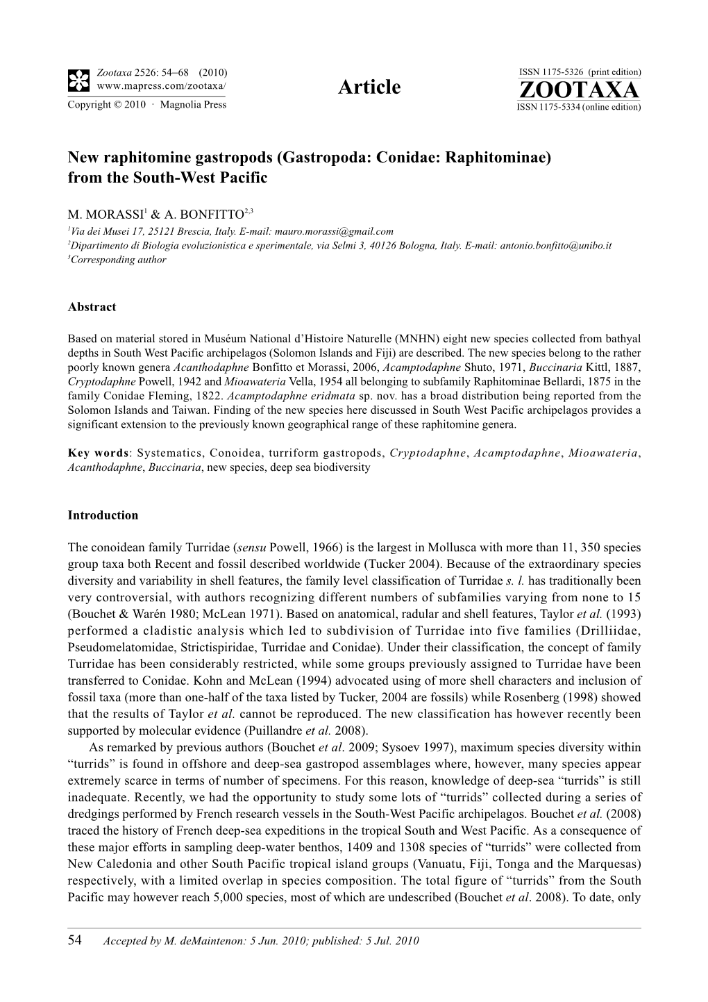 Zootaxa, New Raphitomine Gastropods (Gastropoda: Conidae